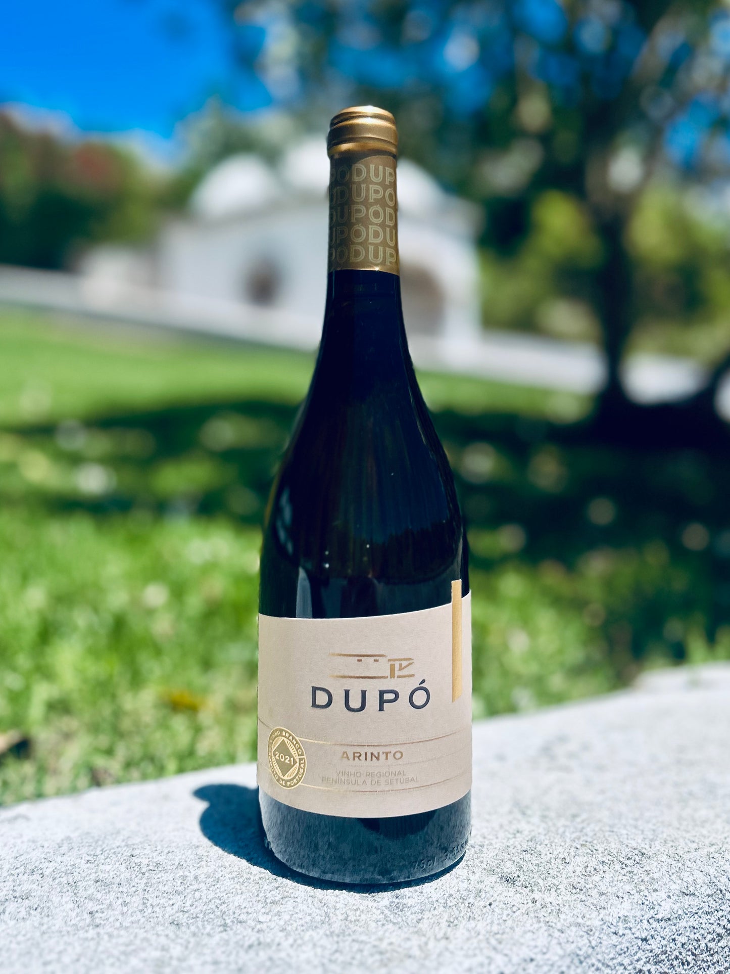 Dupó Arinto