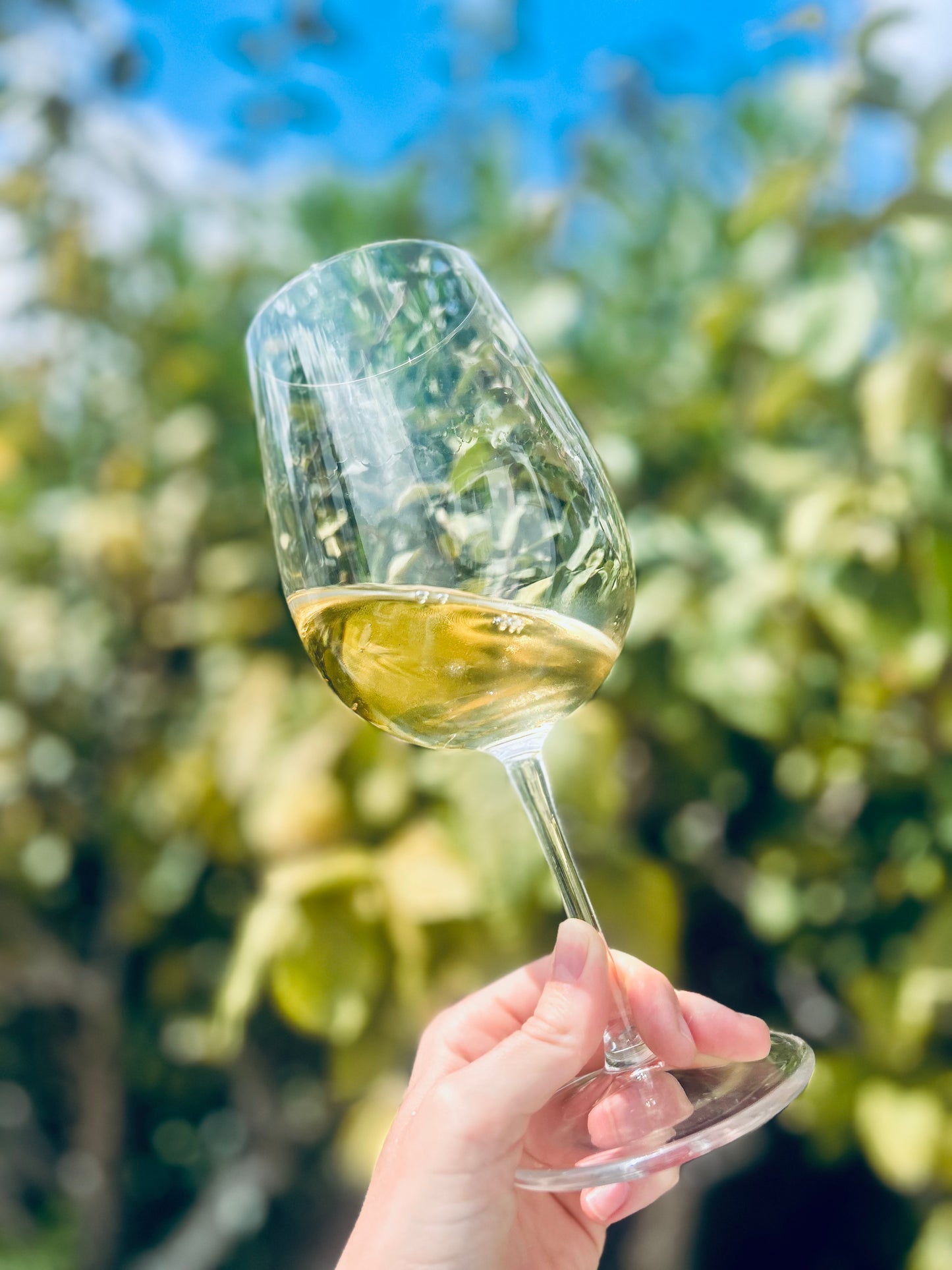 Torre de Frade Viognier 2023